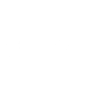 Logo Item